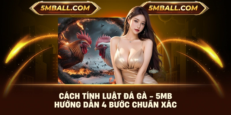 Cách Tính Luật Đá Gà - 5MB Hướng Dẫn 4 Bước Chuẩn Xác