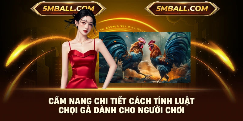 Cẩm nang chi tiết cách tính luật chọi gà dành cho người chơi