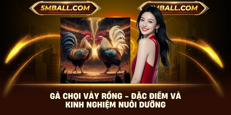 Gà Chọi Vảy Rồng - Đặc Điểm Và Kinh Nghiệm Nuôi Dưỡng