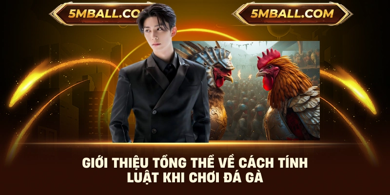 Giới thiệu tổng thể về cách tính luật khi chơi đá gà 