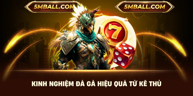 Kinh nghiệm đá gà hiệu quả từ kê thủ