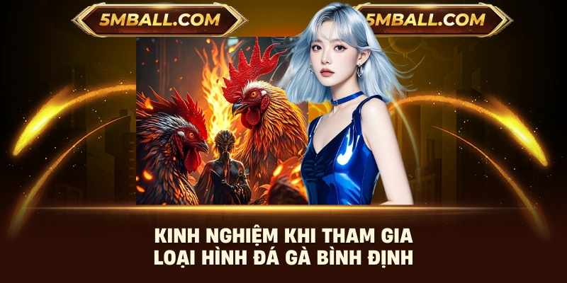 Kinh nghiệm khi tham gia loại hình đá gà bình định