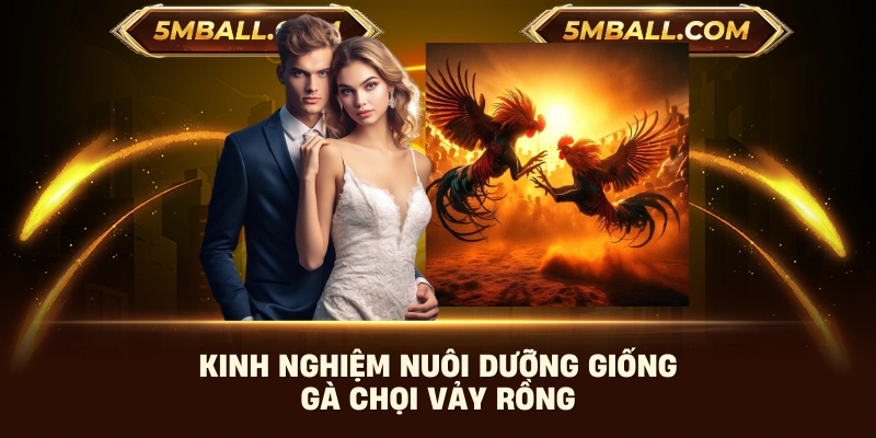 Kinh nghiệm nuôi dưỡng giống gà chọi vảy rồng