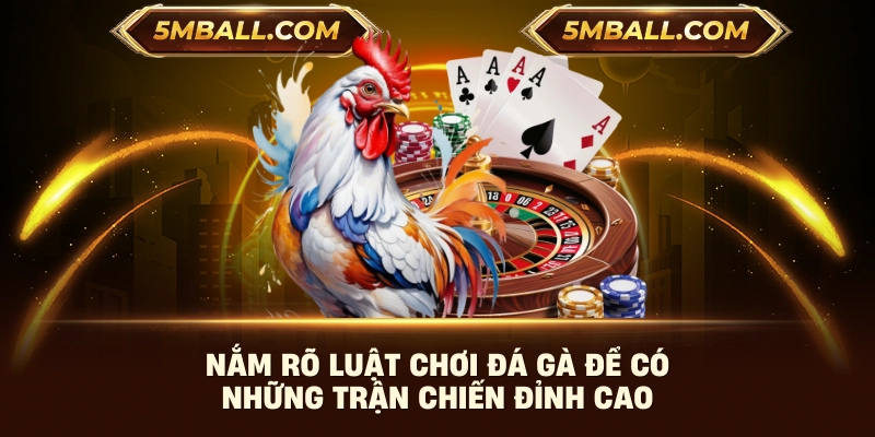 Nắm rõ luật chơi đá gà để có những trận chiến đỉnh cao