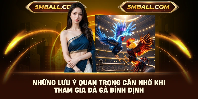 Những lưu ý quan trọng cần nhớ khi tham gia đá gà bình định