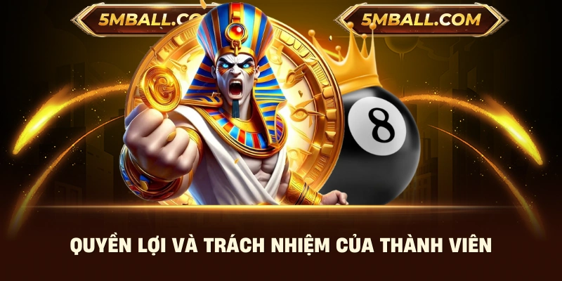 Quyền lợi và trách nhiệm của thanh viên