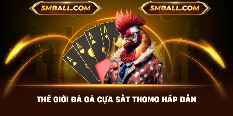 Thế giới đá gà cựa sắt Thomo hấp dẫn