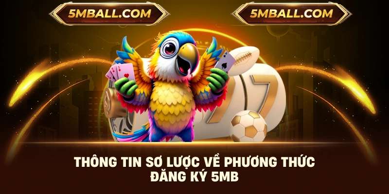 Thông tin sơ lược về phương thức đăng ký 5MB