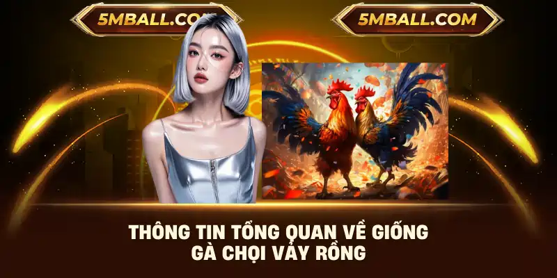 Thông tin tổng quan về giống gà chọi vảy rồng