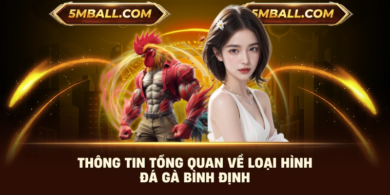 Thông tin tổng quan về loại hình đá gà bình định