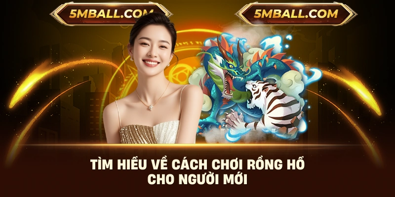 Tìm hiểu về cách chơi rồng hổ cho người mới