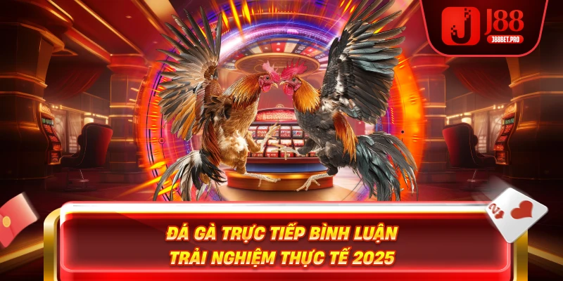 J88 đá gà trực tiếp bình luận trải nghiệm thực tế