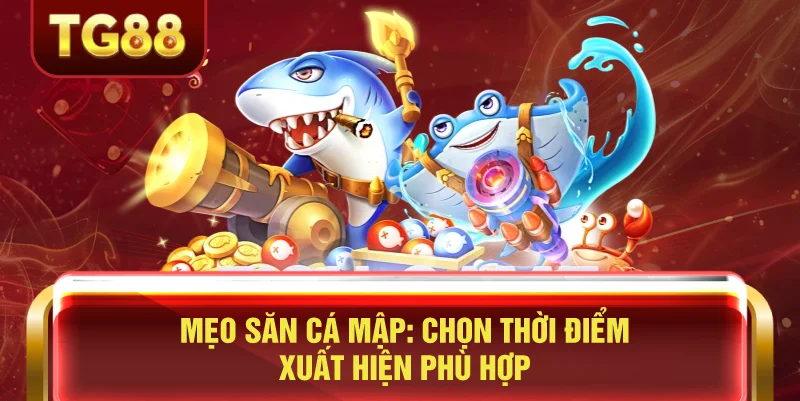 Mẹo Săn Cá Mập: Chọn Thời Điểm Xuất Hiện Phù Hợp