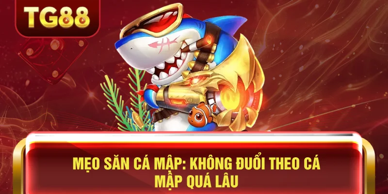 Mẹo Săn Cá Mập: Không Đuổi Theo Cá Mập Quá Lâu