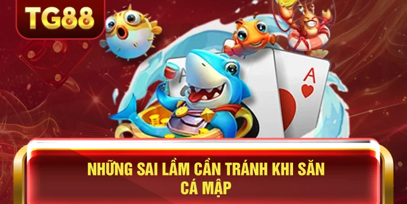 Những Sai Lầm Cần Tránh Khi Săn Cá Mập