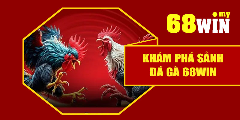 khám phá sảnh đá gà 68win