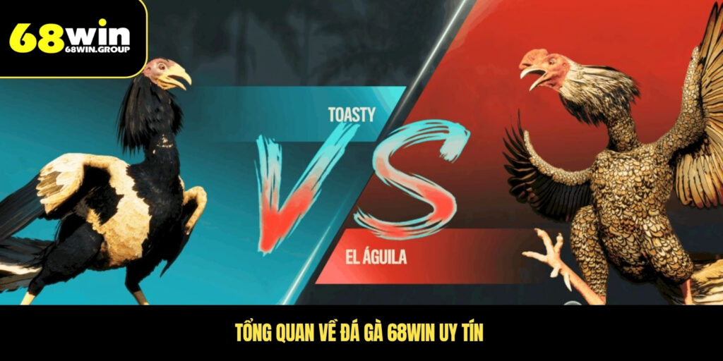 tổng quan về đá gà 68win uy tín